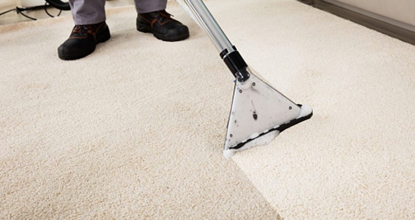 Clean Your Carpets Like a Pro